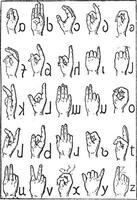 Alphabet of deaf-mutes, vintage engraving. vector