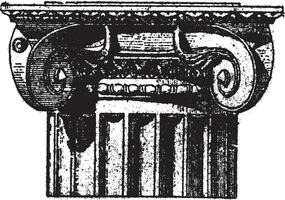 Fig. 3. Ionic Pompeii with angle volutes, vintage engraving. vector