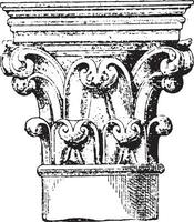 Capital xii Century, one of the columns of the choir of Notre-Dame de Paris. vintage engraving. vector