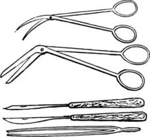 tijeras cuchillos y pinzas usado para huevo soplo, Clásico ilustración. vector