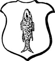 Haurient have a fish in a perpendicular direction, vintage engraving. vector