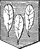 Leaves Slipped from the stock or branch, vintage engraving. vector