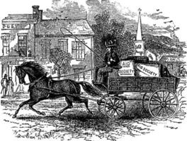 Carriage  Horse, vintage illustration. vector