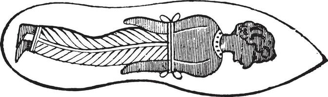 Sandal, vintage engraving. vector