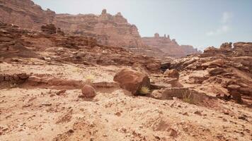 Panorama from bottom of Grand Canyon photo