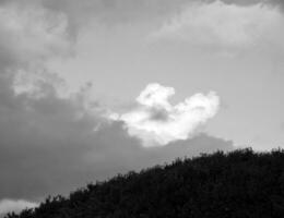 negro y blanco hermosa cielo antecedentes foto