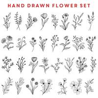 Hand Drawn Flower Set Design vector