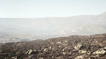 Dry yellow grass on the rocky mountain slope with heavy fog photo