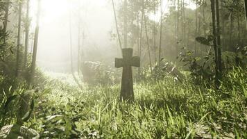 rugged grave marker in the tropical woods photo