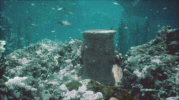 submerged remains of ancient civilization overgrown with marine vegetation photo