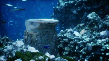 submerged ruins of ancient temple or city adorned with marine flora and fauna photo