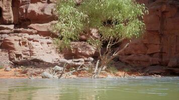landscape with red sandstone rock and river photo
