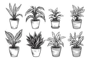 Vector set of sketches house plants in pots on a white background