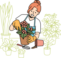 kvinna blomsterhandlare tar vård av Hem växter och innehar blomma pott med blomning violett png
