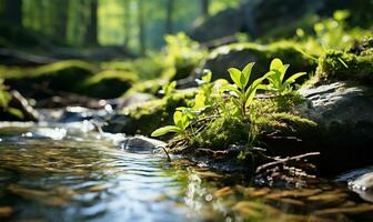 AI generated the gentle light of spring as it illuminates a slowly flowing stream photo