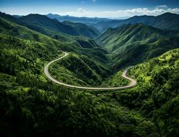 AI generated a road winding through a lush green forest photo