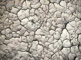 Cracked earth texture for nature background photo