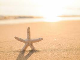 Starfish on the beach with sea background photo