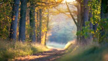 AI generated forest in the morning photo