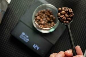 Barista holding a tablespoon roasted coffee beans before adding into a glass cup for measuring weight. Measuring coffee is all about ensuring that every sip you drink tastes exactly as you want it to. photo