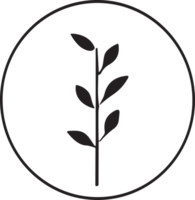 fleur ou feuille logo dans une minimaliste style pour décoration png