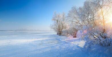 invierno paisaje con congelado lago y Nevado arboles foto