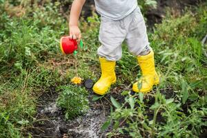 A child in the garden watering flowers with a watering can. photo