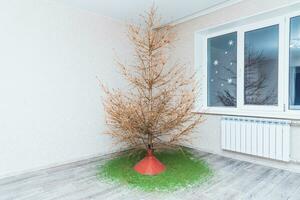 en el habitación allí es un abeto árbol desde cuales todas el agujas se desmoronó foto