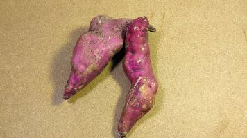 Two purple sweet potatoes on a white background photo