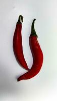 Big red chilies are fresh and spicy photo