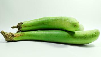 Fresh green eggplant on white background photo