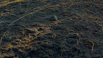 Photo of a dark soil texture with an eerie feel