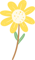 cute flower with stem cartoon png