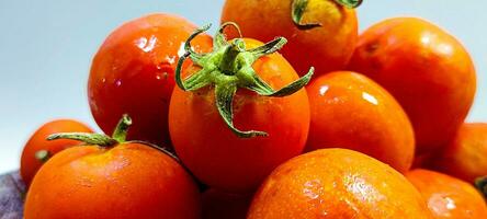 Fresh and healthy tomatoes photo