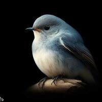 Close up of a bird photo