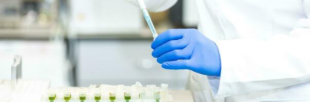 joven científico o médico técnico desarrollando investigación nuevo farmacia medicina en vaso matraz en el clínico laboratorio, concepto de farmacéutico estudios y investiga foto