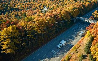 AI generated Autumnal Highway Views Aerial Serenity over Woods and Overpasses ai geneated photo