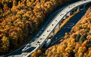 ai generado otoñal autopista puntos de vista aéreo serenidad terminado bosque y pasos elevados ai generado foto