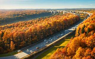 ai generado otoñal autopista puntos de vista aéreo serenidad terminado bosque y pasos elevados ai generado foto