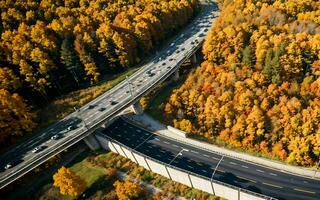 AI generated Autumnal Highway Views Aerial Serenity over Woods and Overpasses ai geneated photo