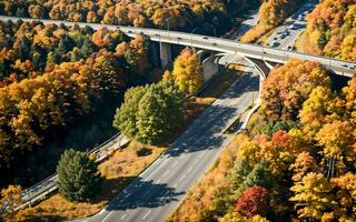 ai generado otoñal autopista puntos de vista aéreo serenidad terminado bosque y pasos elevados ai generado foto