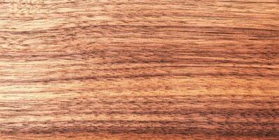 Texture pattern walnut wood background photo