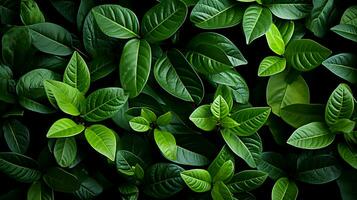 AI generated Vibrant Greenery Closeup Natural Background of Tree Leaves Ideal for Foliage Texture Designs, Ai Generated photo