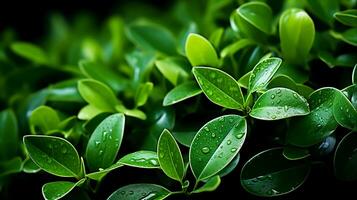 AI generated Vibrant Greenery Closeup Natural Background of Tree Leaves Ideal for Foliage Texture Designs, Ai Generated photo