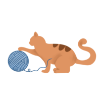Cat play with yarn ball on png transparant background