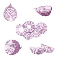 A set of red onions. Onion cut in half and slices, onion rings. Isolated vector illustration