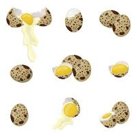 A set of quail eggs. Raw eggs come out of the shell, boiled eggs. Vector illustration