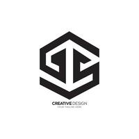 Letter Gs or Sg hexagon shape initial modern abstract monogram logo vector