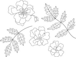 Flowers hand drawn outline vector