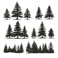 vector vintage trees and forest silhouettes set with Fir tree silhouette and outline